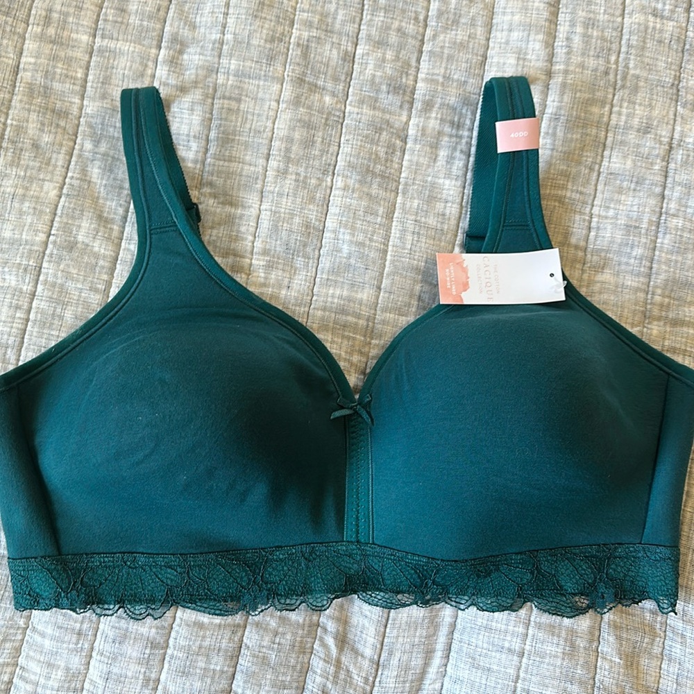 Lane Bryant’s Cacique Cotton Collection Bra
